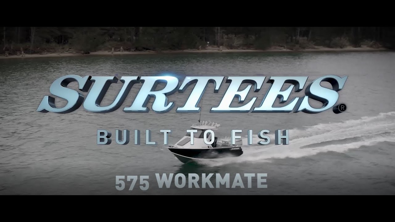 575 Workmate Hardtop