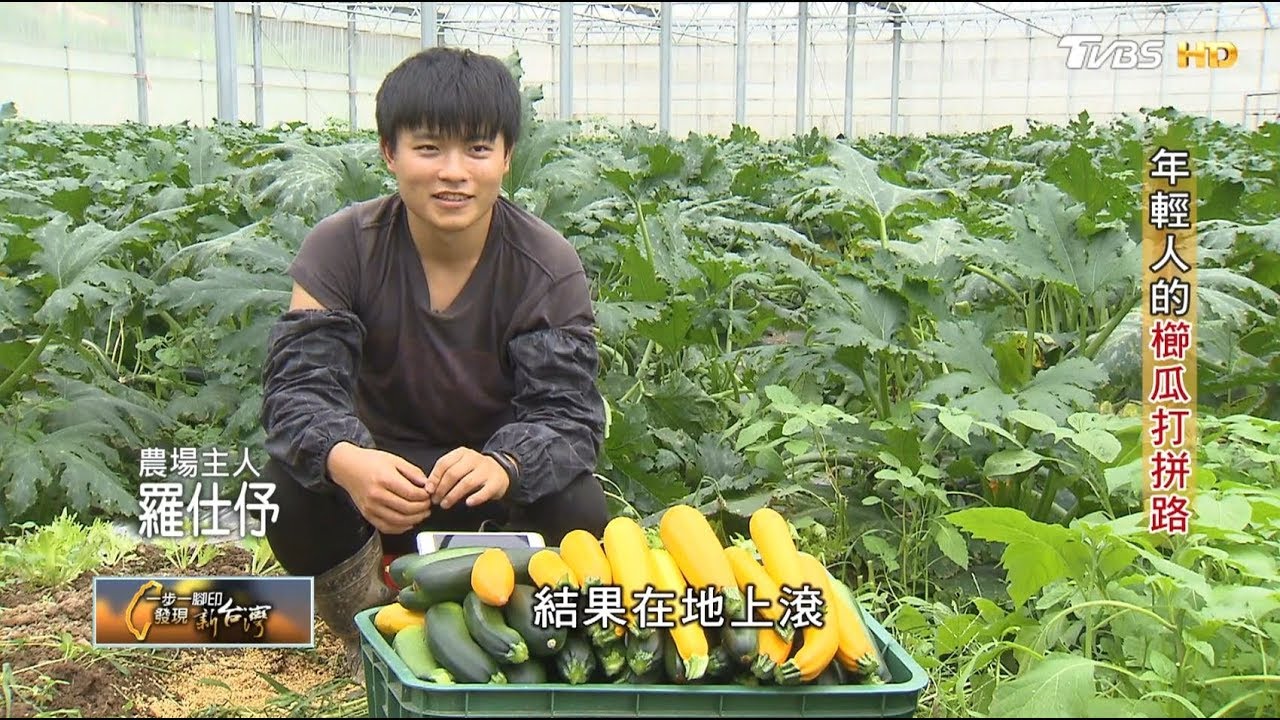 年輕人的櫛瓜打拼路 一步一腳印 20190505