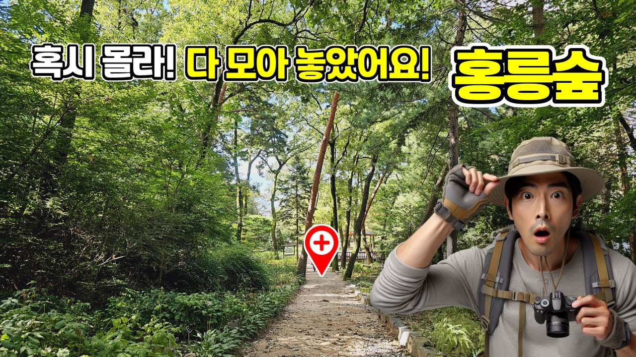 🌲새로 선정된 대한민국 100대 명품 숲 🚶🏻가을에 걷기 좋은 트레킹 코스 🚇도심 지하철 10분 | 도심산책 | 서울산책 | 대중교통 당일치기 여행ㅣ지하철 여행ㅣ