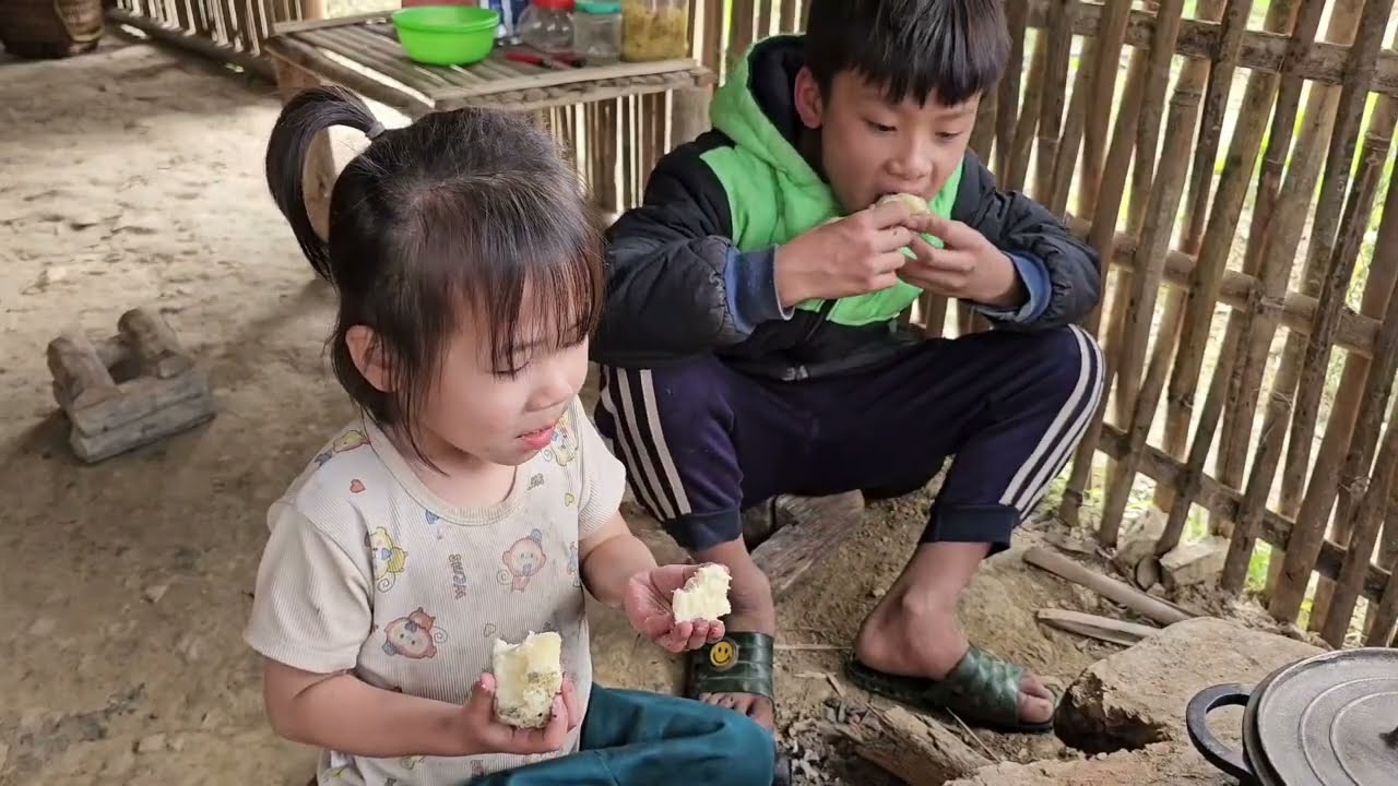 FULL VIDEO 60 days of Hoang Dat and his 4 children