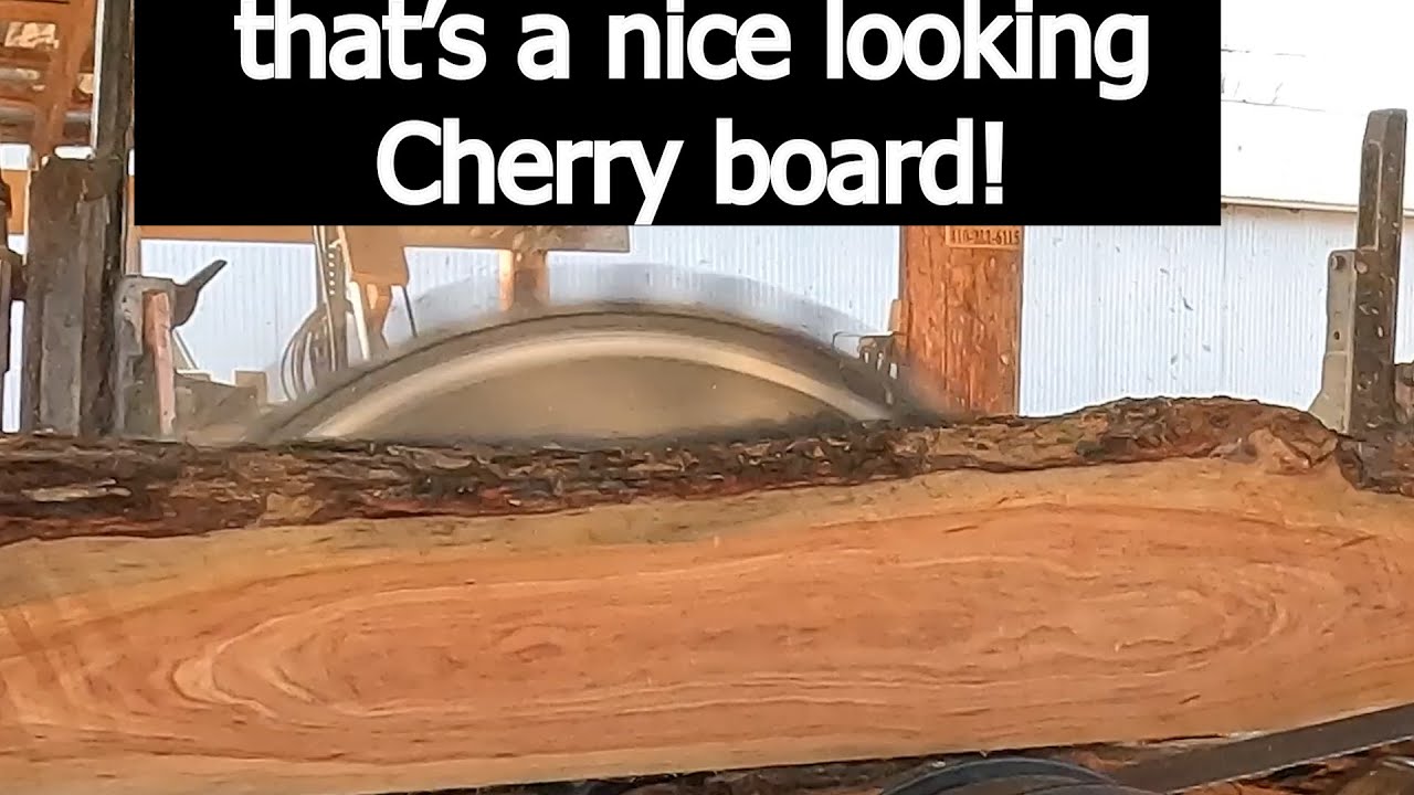 What kind of log is this!!