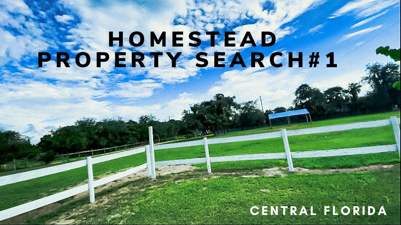 Buying land in Florida | Homestead property search | House Hunting Vlog