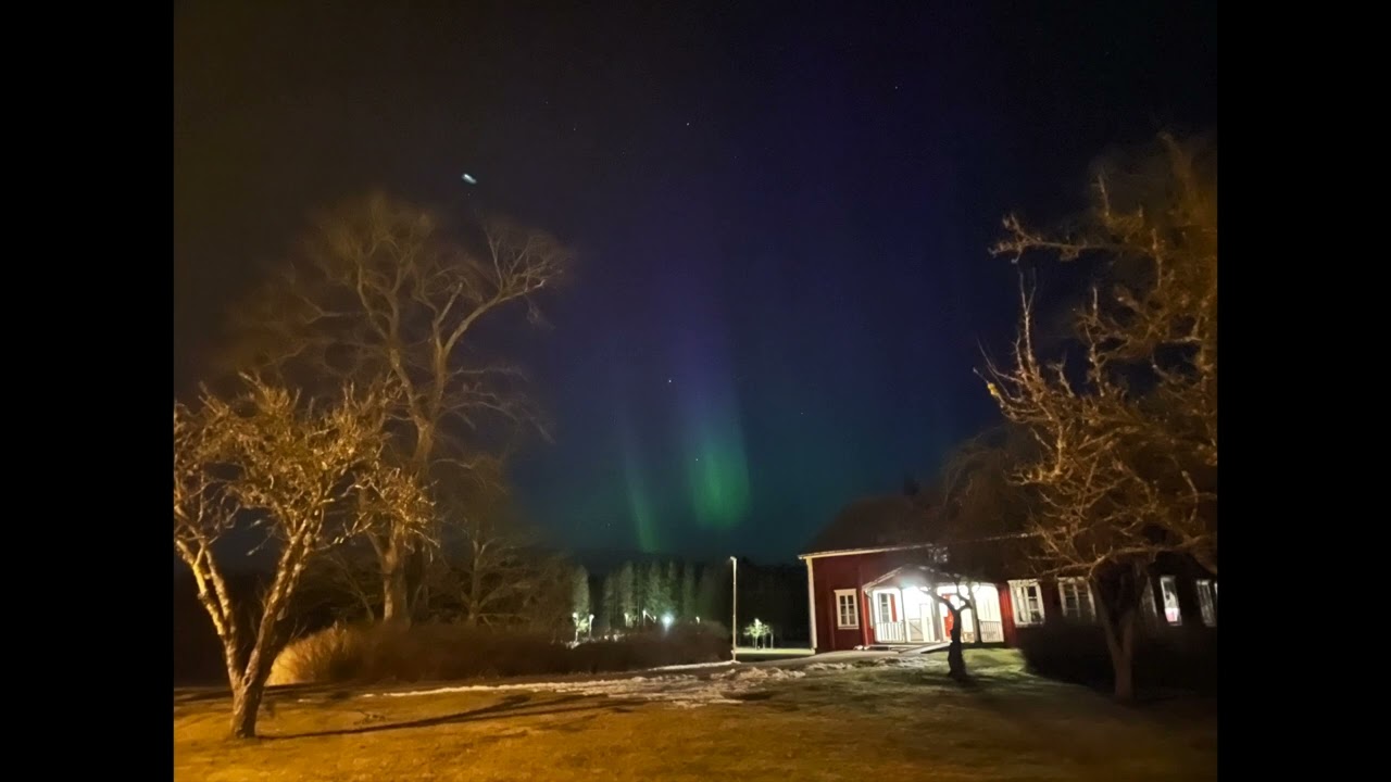 Decemberalis - StreetLights [Synthwave]