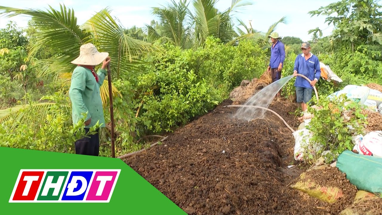 Kỹ thuật ủ phân hữu cơ đạt chất lượng | THDT