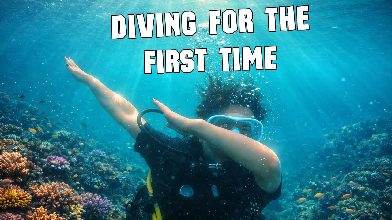 First Time Scuba Diving in Goa 🐠🌊 | Once in a Lifetime Experience! 