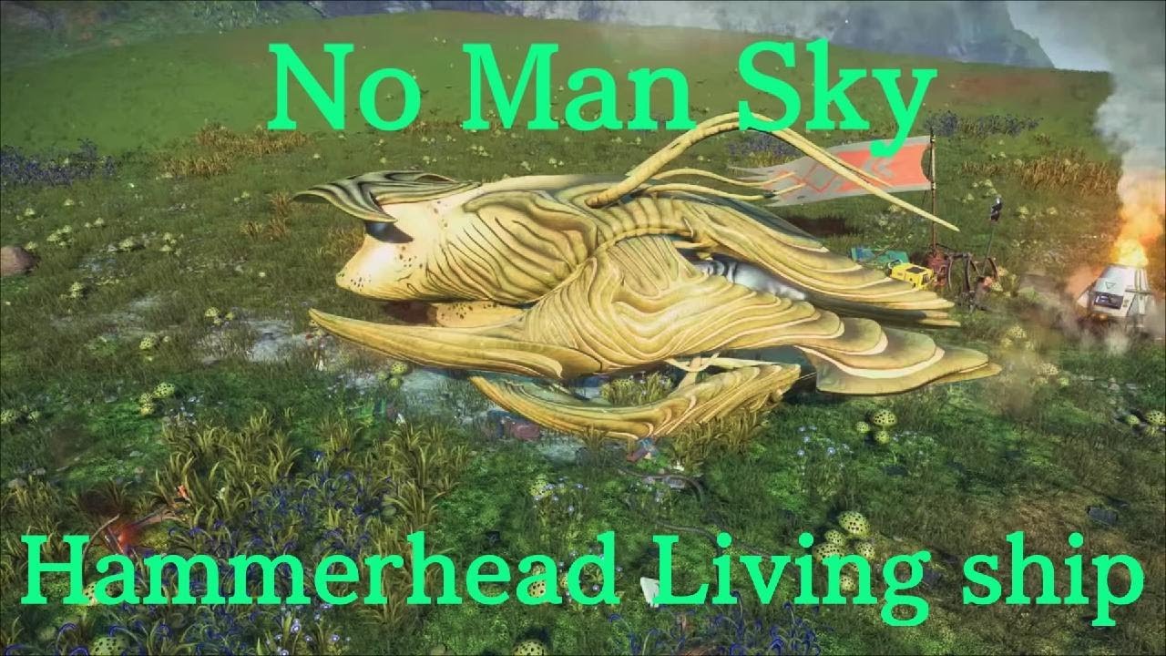 No Man Sky Green hammerhead Living ship