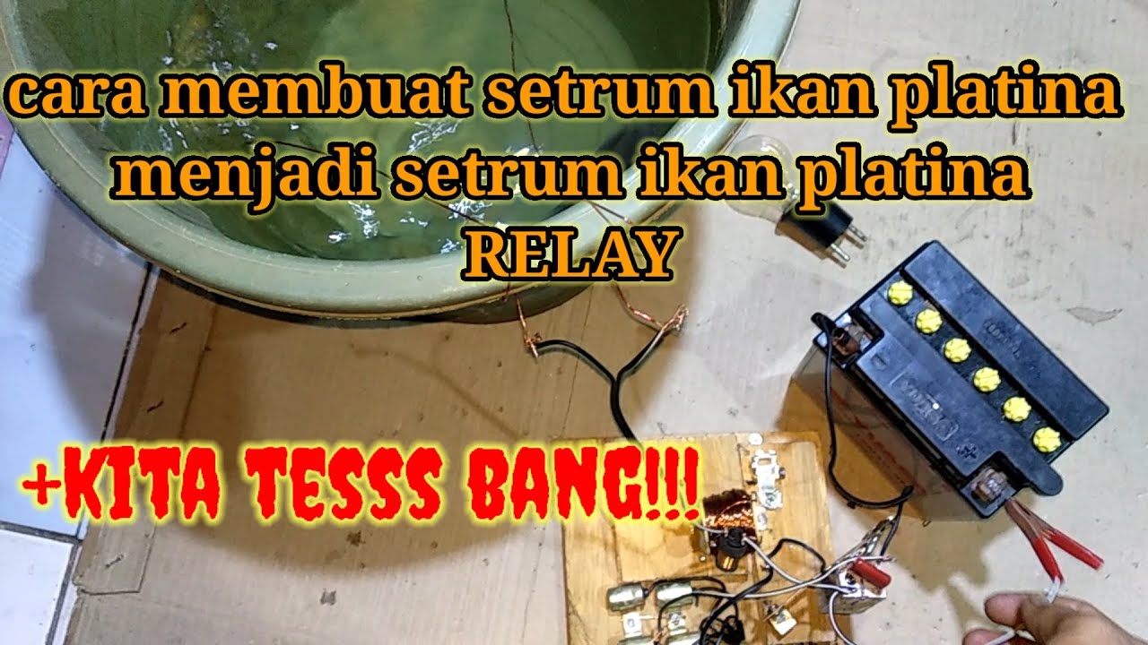 membuat SETRUM IKAN PLATINA menjadi SETRUM PLATINA RELAY
