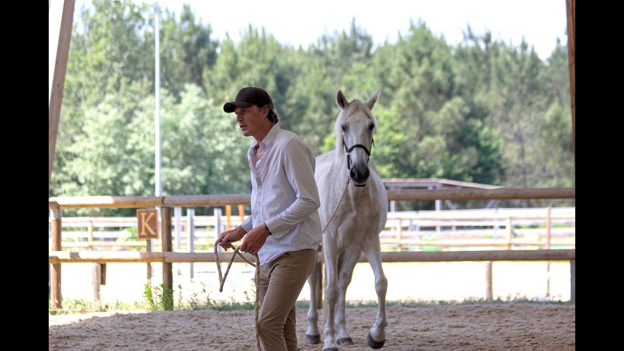 Qu'est ce que l'equicoaching ? Interview de Renaud Subra