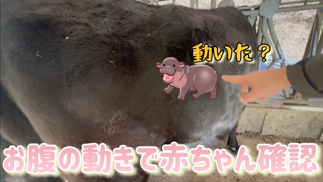胎動で妊娠してるか分かるのか？