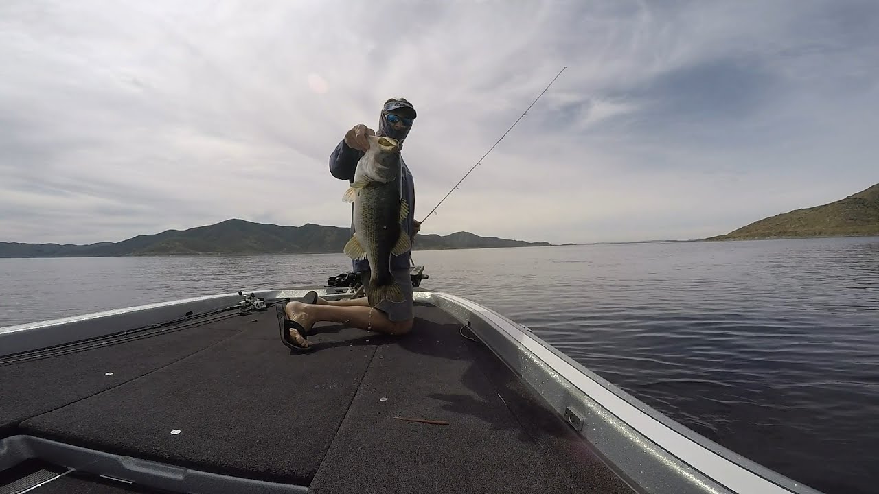 DVL   On the hunt for bedding fish