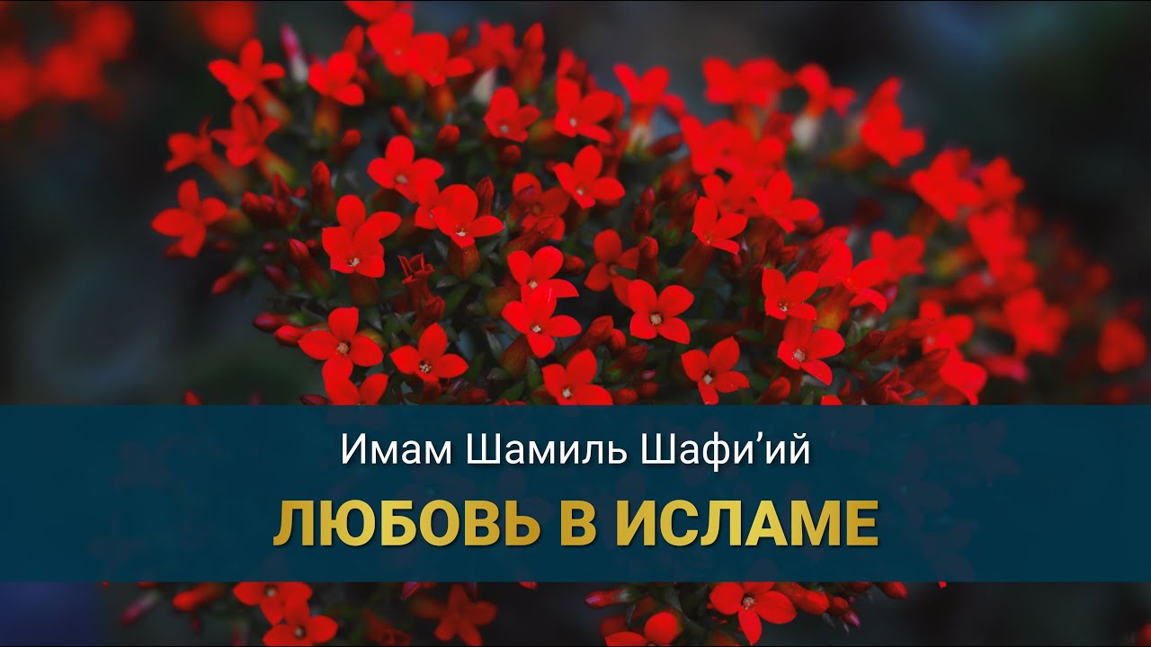 ЛЮБОВЬ В ИСЛАМЕ | Имам Шамиль Шафи’ий