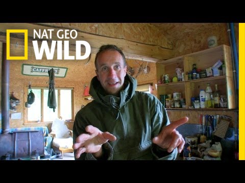 Talk Like a Beaver | Live Like an Animal