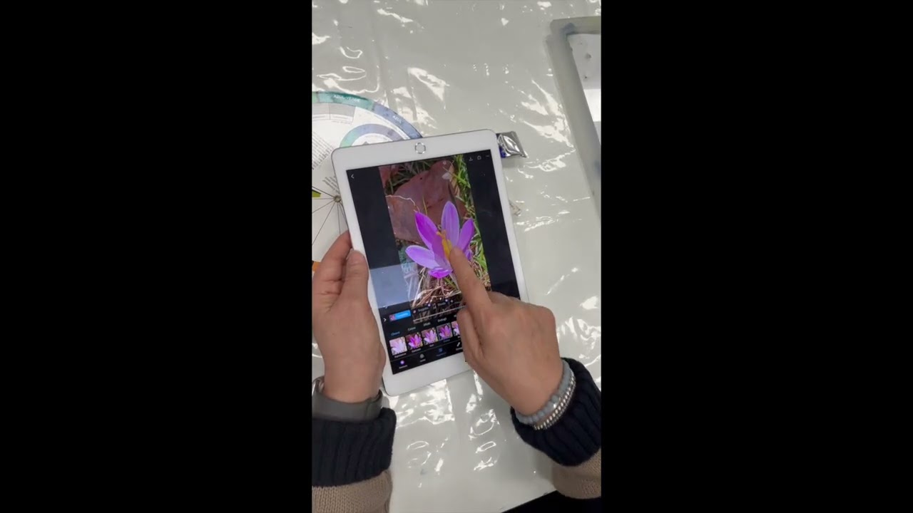 lezione su come modificare una foto e sulla teoria del colore