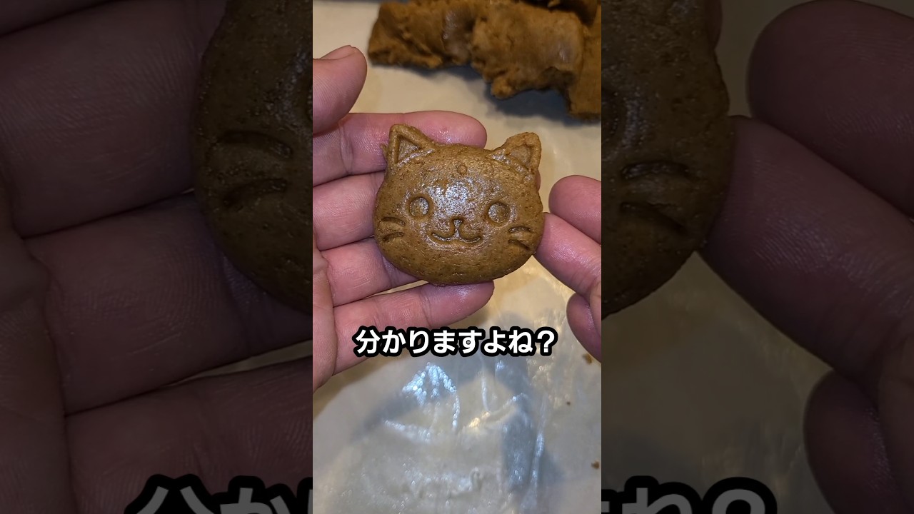キャットフードのアレンジレシピ / Delicious Ways to Enjoy Cat Food