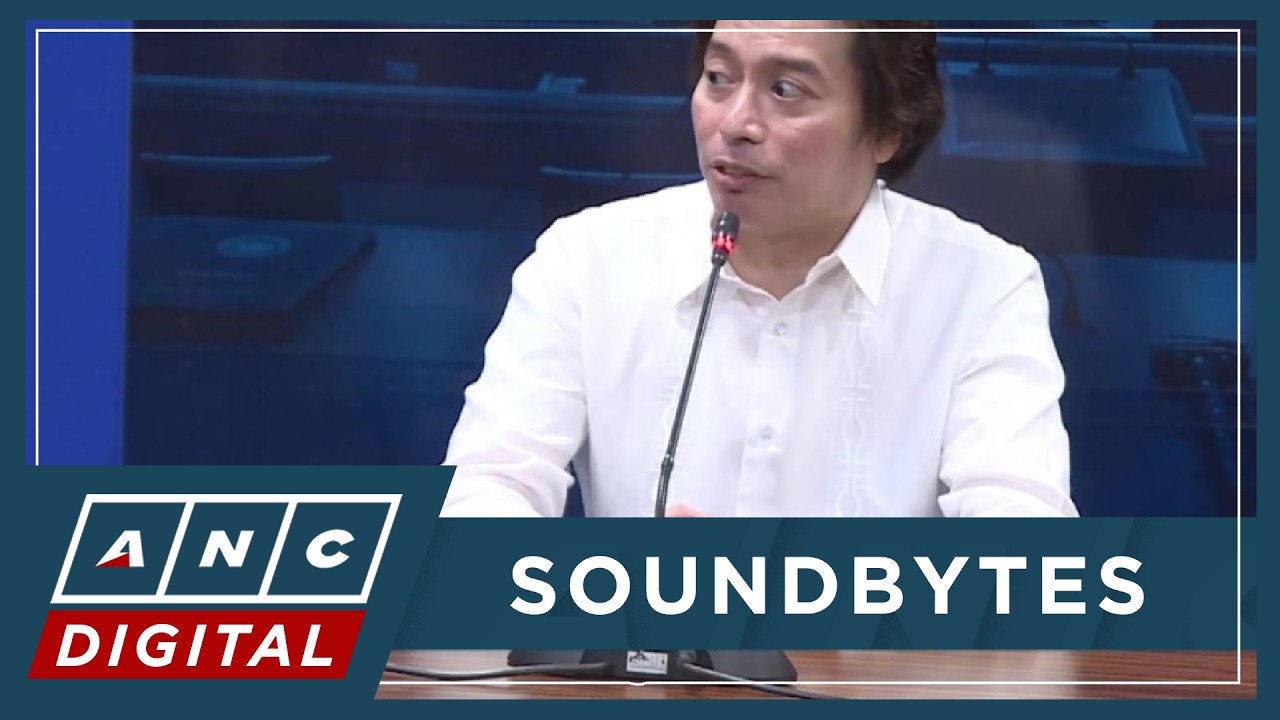 WATCH: Defense counsel Poa weighs in on Day 12 of VP Sara's impeachment trial | ANC