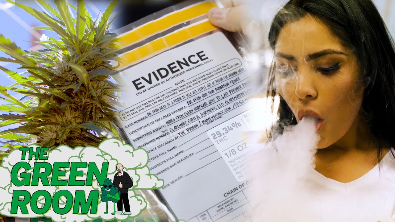 The business of cannabis in California - The Green Room