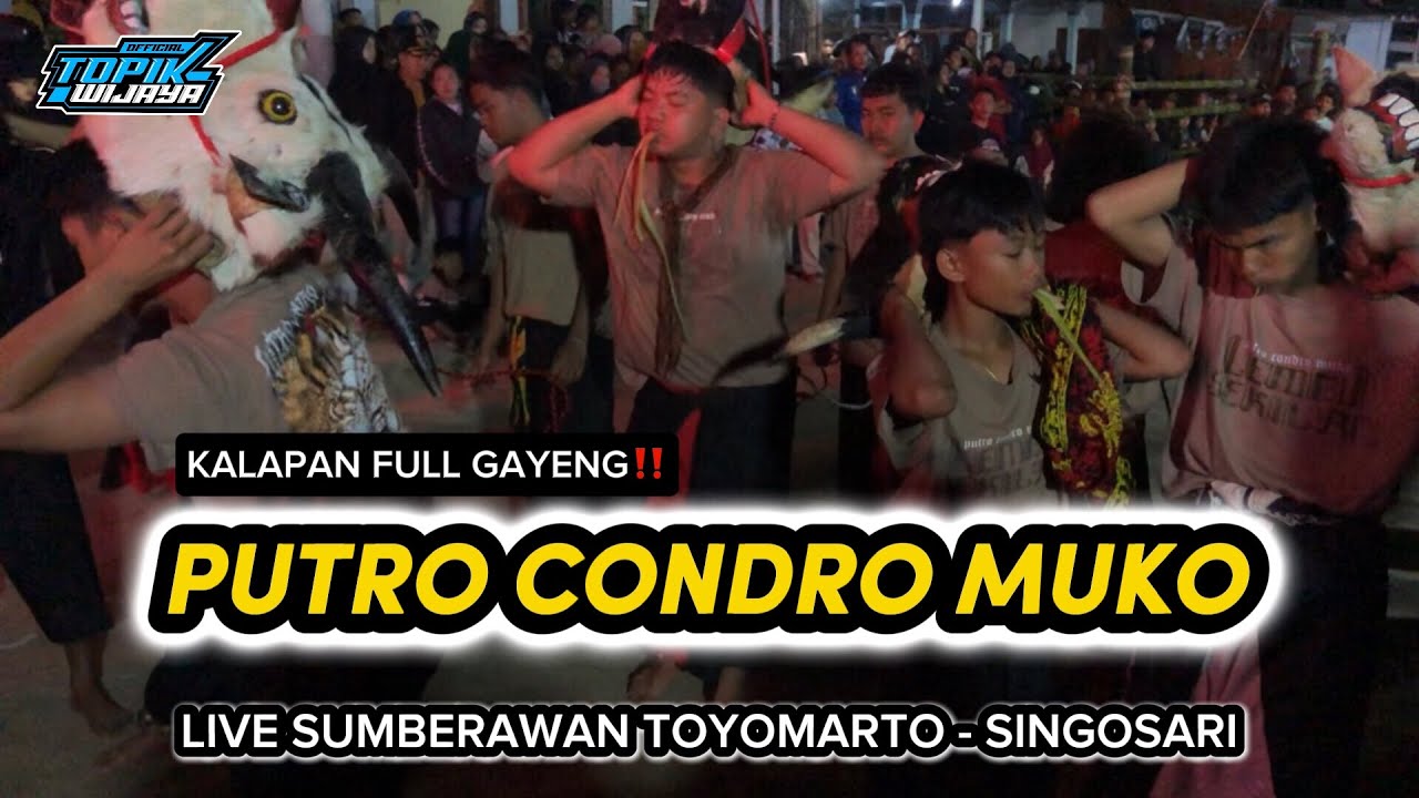 PUTRO CONDRO MUKO‼️ Kalapan Full Gayeng Live Sumberawan Toyomarto - Singosari