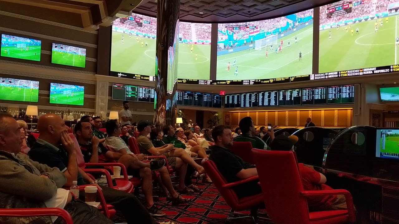 Mexican fans react to South Korea goal against Germany