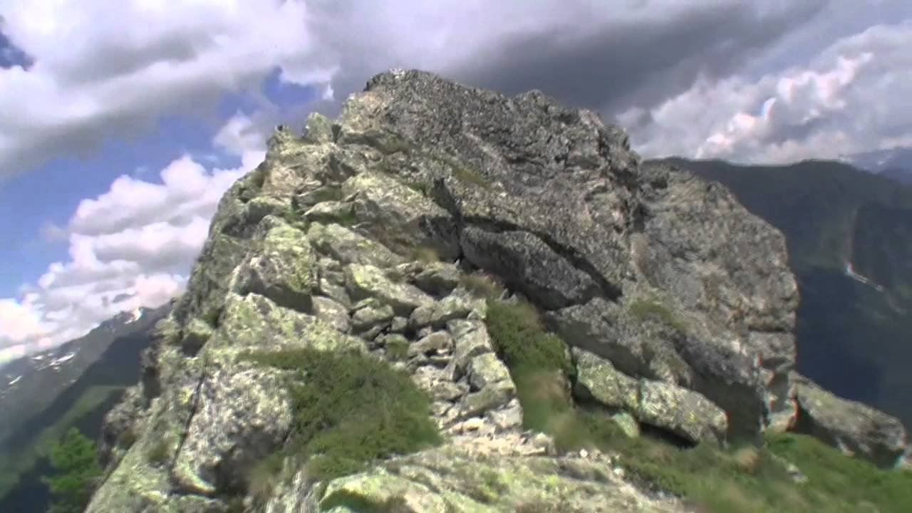 Звери. Камикадзе.