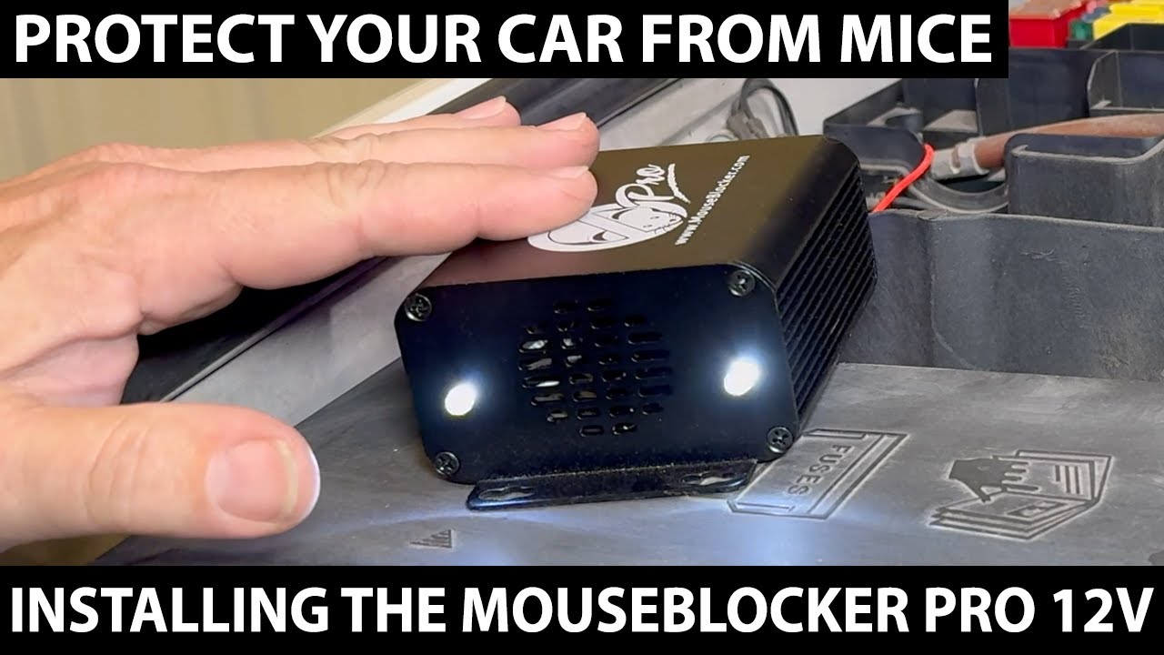 Mouse Blocker 12V Install