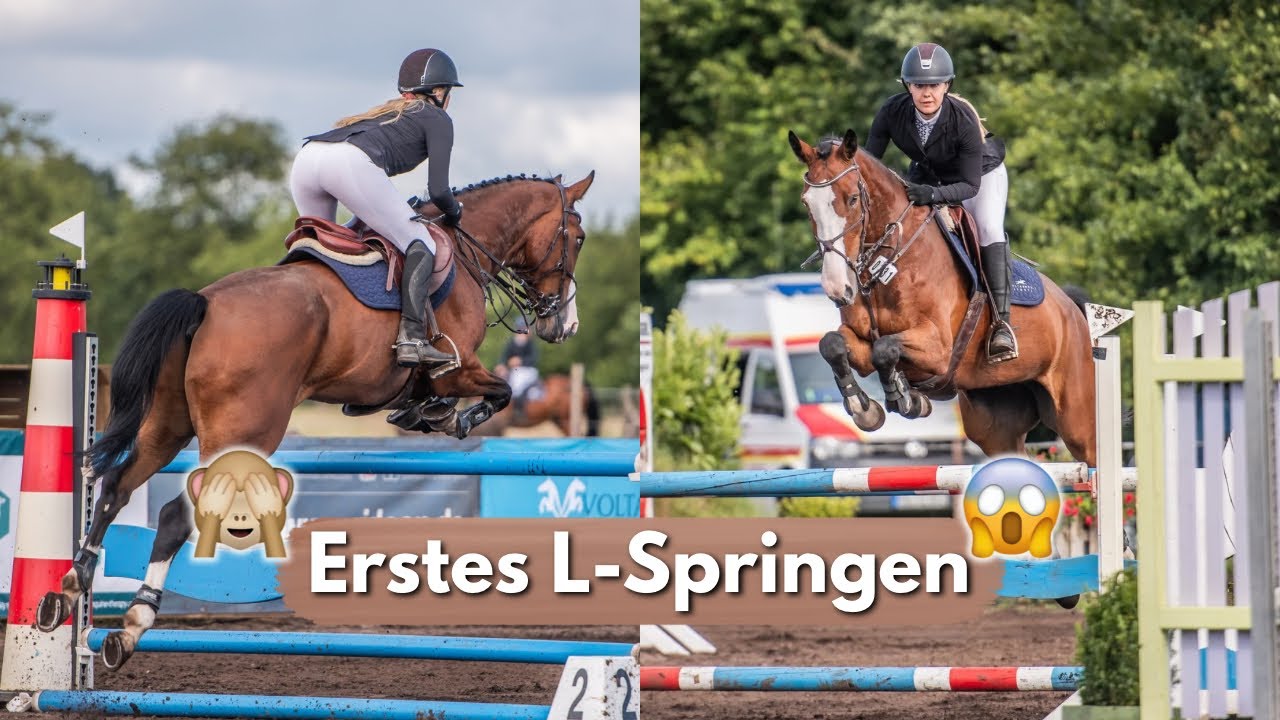Ufff.. - Erstes L-Springen mit Micky | Ich kommentiere unsere vier Springen 🐴