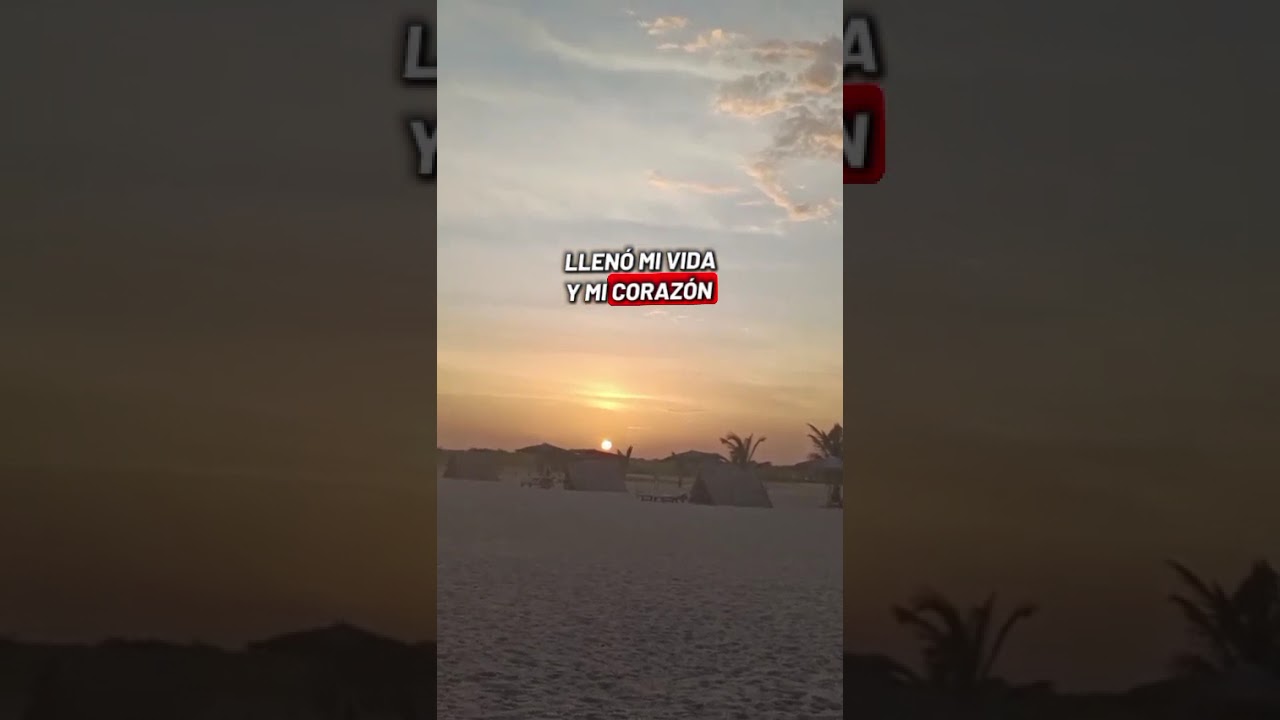 Amor a primera vista. El combo de las estrellas karaoke
