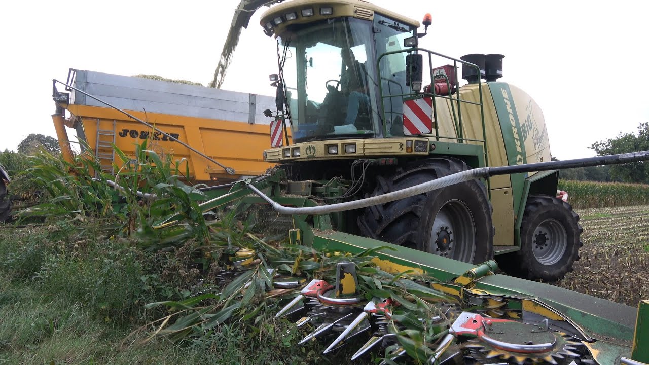 Mais hakselen met de Krone BigX 650 van loonbedrijf Wemekamp, kanten losmaaien aan de Blokweg (2023)