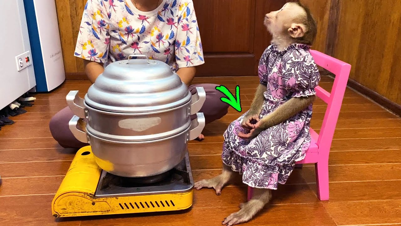How Obdient & Discline Judee Sit Wait For Her Steamed Cake