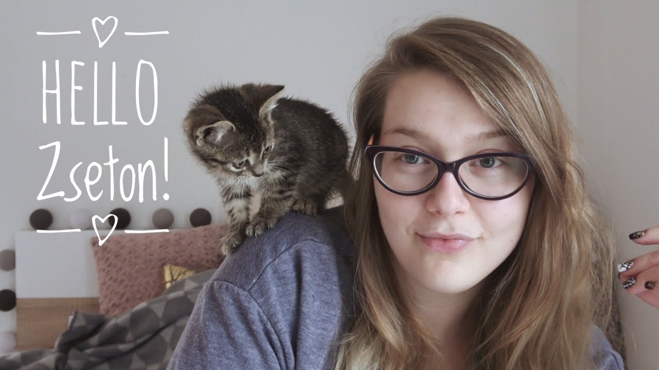 Segítség, kismacskám lett! Zseton cicanaplója #1