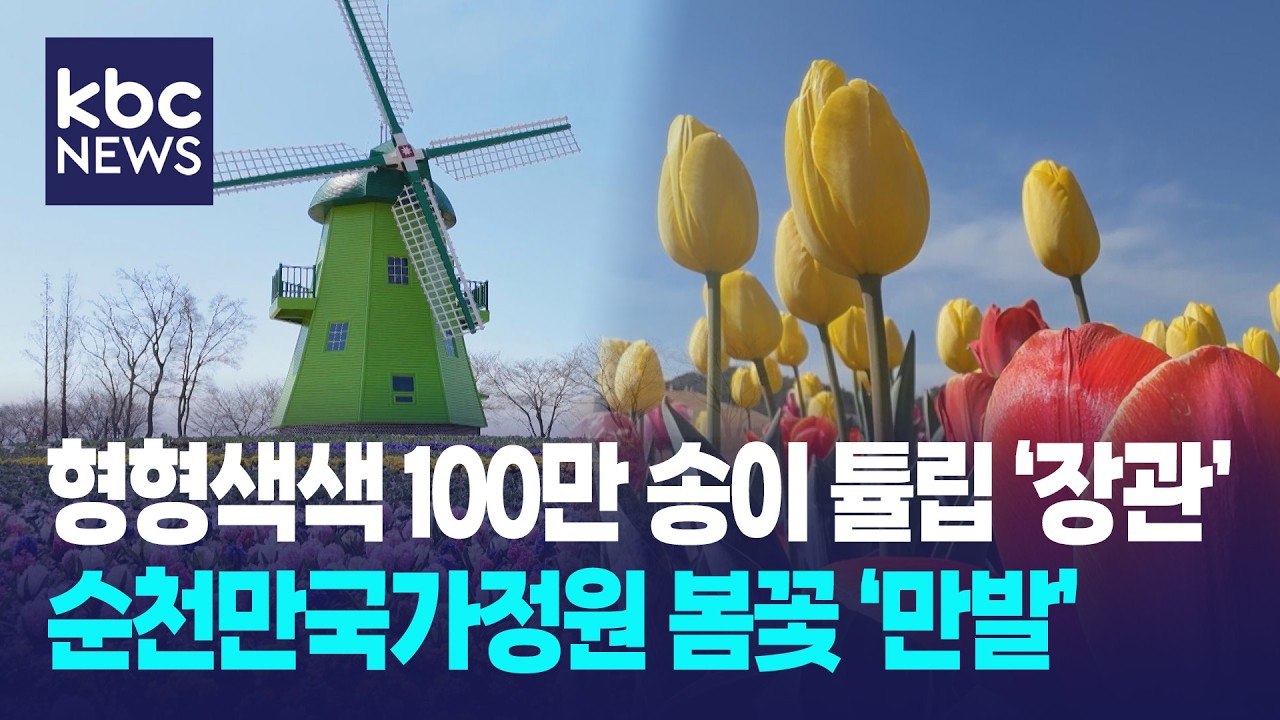 순천만국가정원 100만송이 툴립 '장관'...봄꽃 '만발' / KBC뉴스