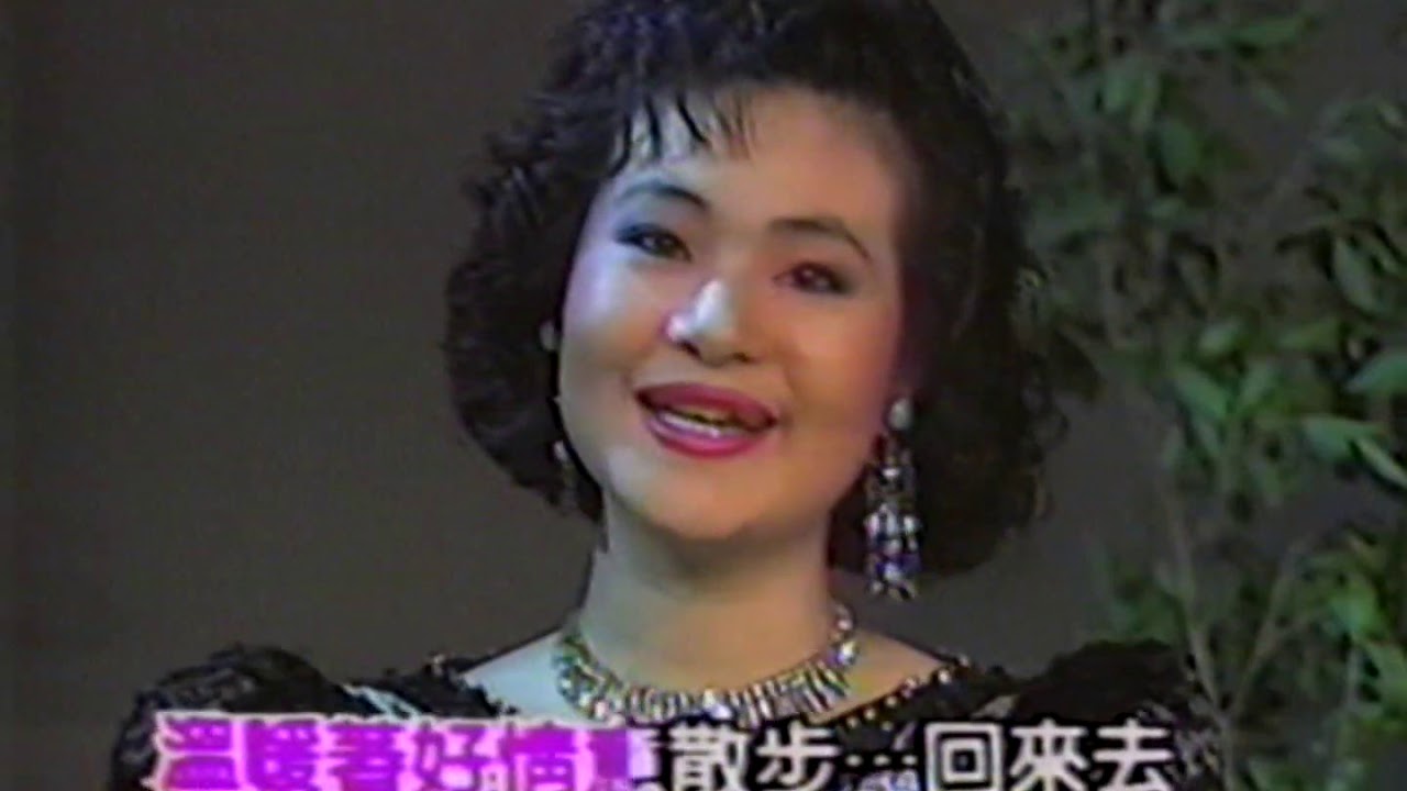文香 - 月夜小路