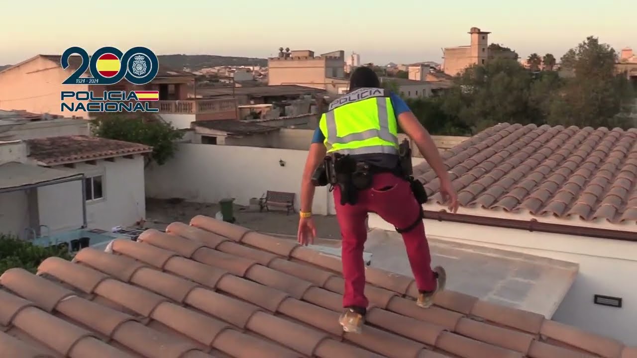Cae una importante organización dedicada al tráfico de drogas en Mallorca
