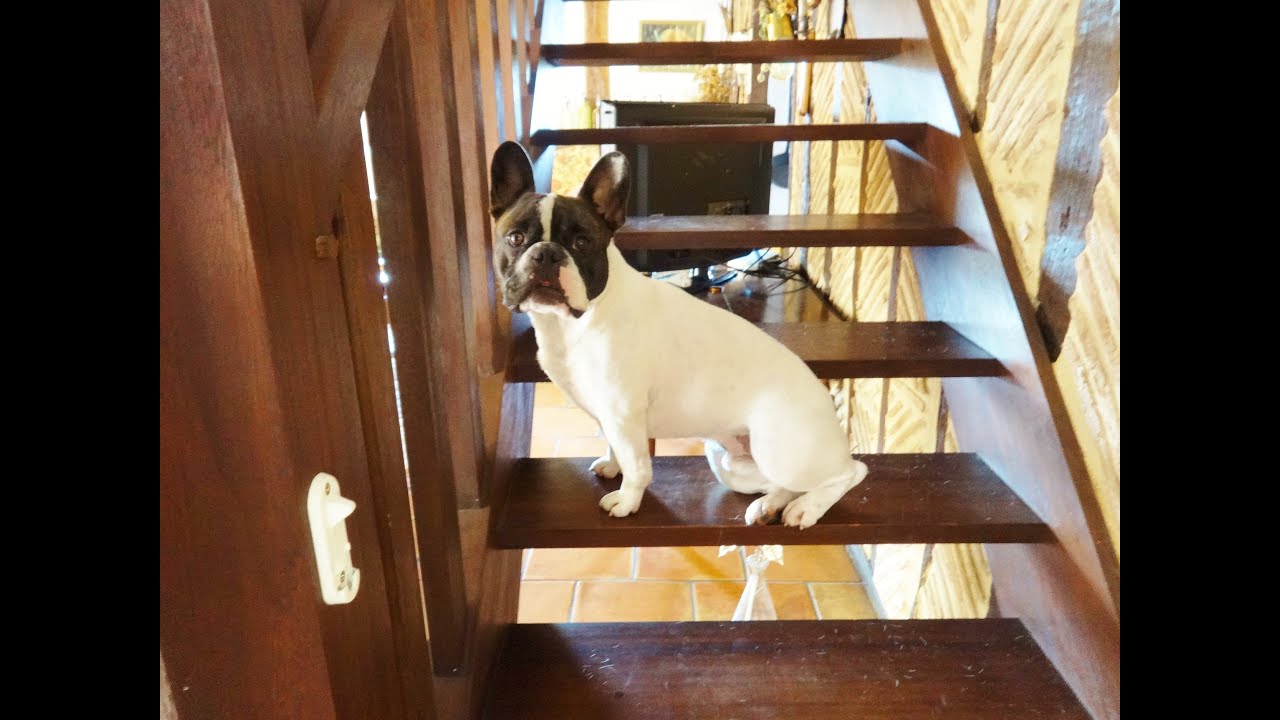 Eric & Patsy's Big French Adventure part 3 ... The Cottage