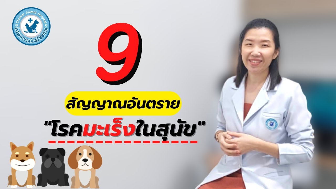 9 สัญญาณอันตราย!! สุนัขของคุณอาจเป็นมะเร็ง [โรงพยาบาลสัตว์ชัยนาท]