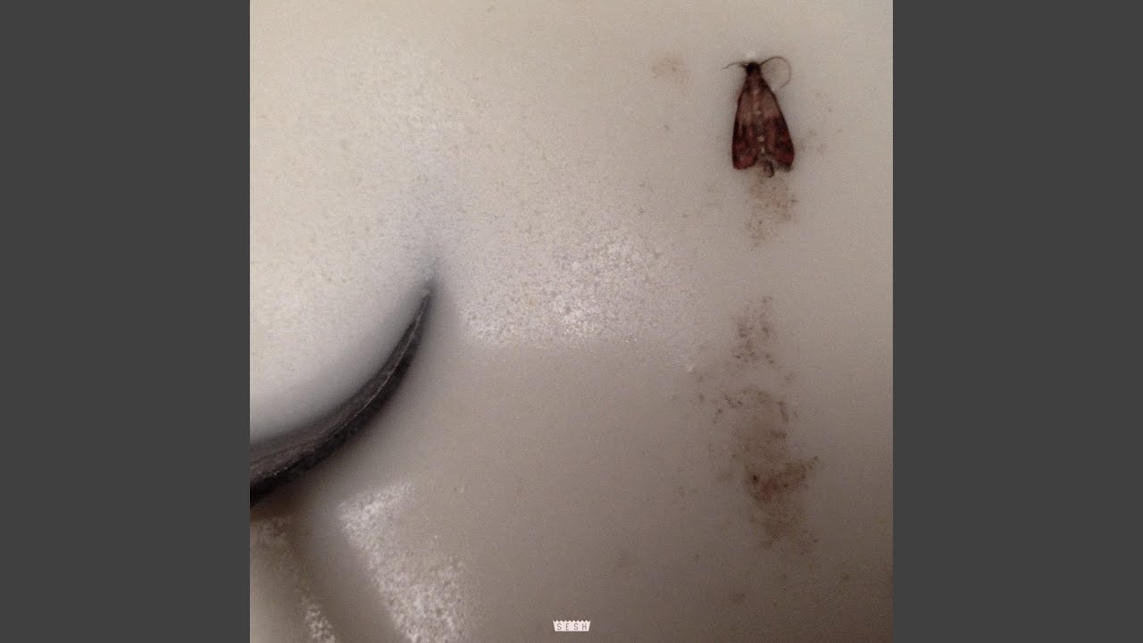 Mothmilk (feat. BONES)