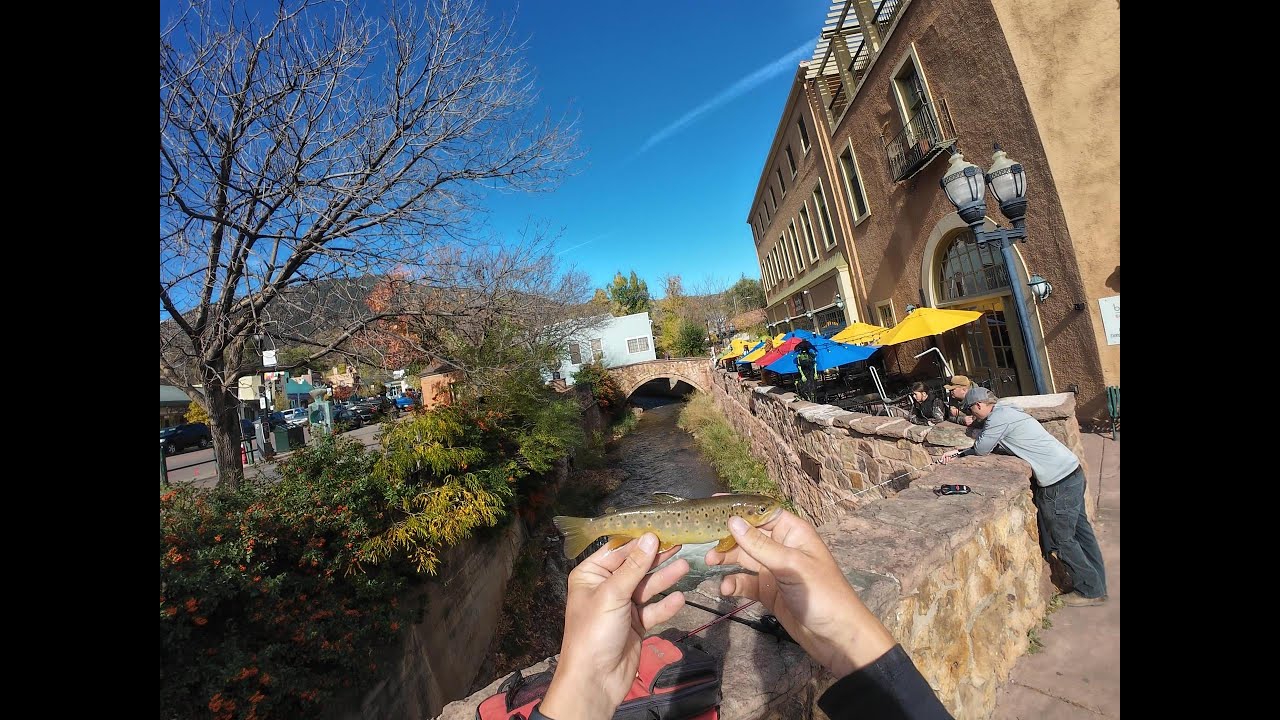 Urban Fishing for HUGE trout in Manitou Springs Colorado