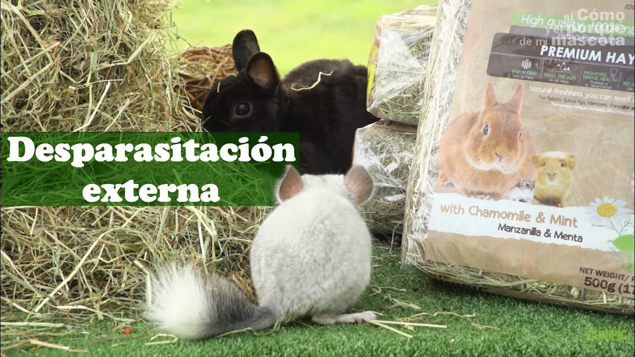 ROEDORES Y CONEJOS: Desparasitación externa