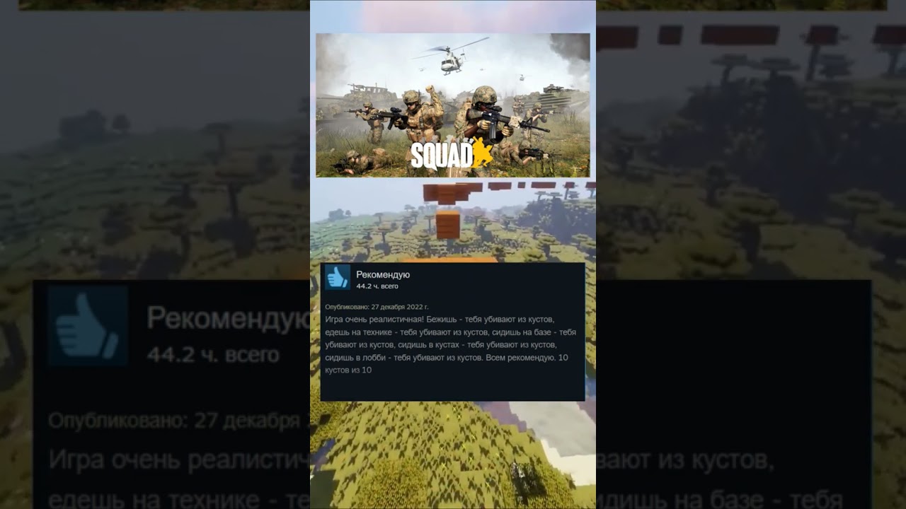 Отзывы в Steam о игре Squad.  #squad #game #steam #отзывы