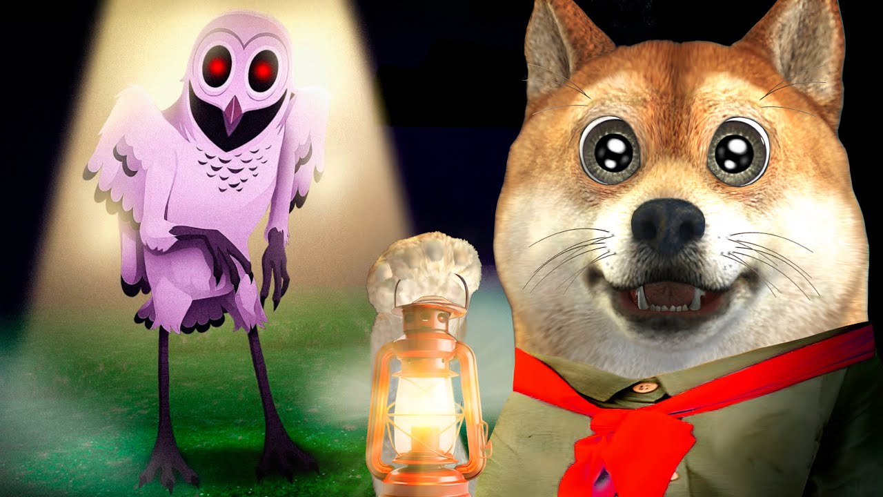 Eu sobrevivi à coruja em 99 noites na floresta...