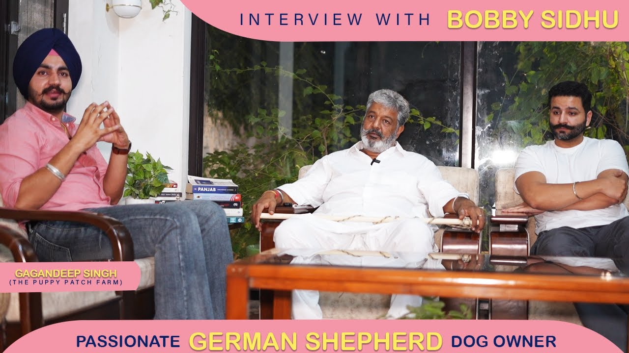 Interview with Bobby Sidhu ( Passionate German Shepherd Dog Owner)