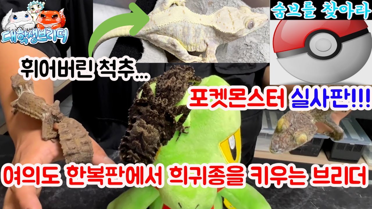 합성X 여의도 한가운데서 포켓몬스터를 키우는 사람(ENG)
