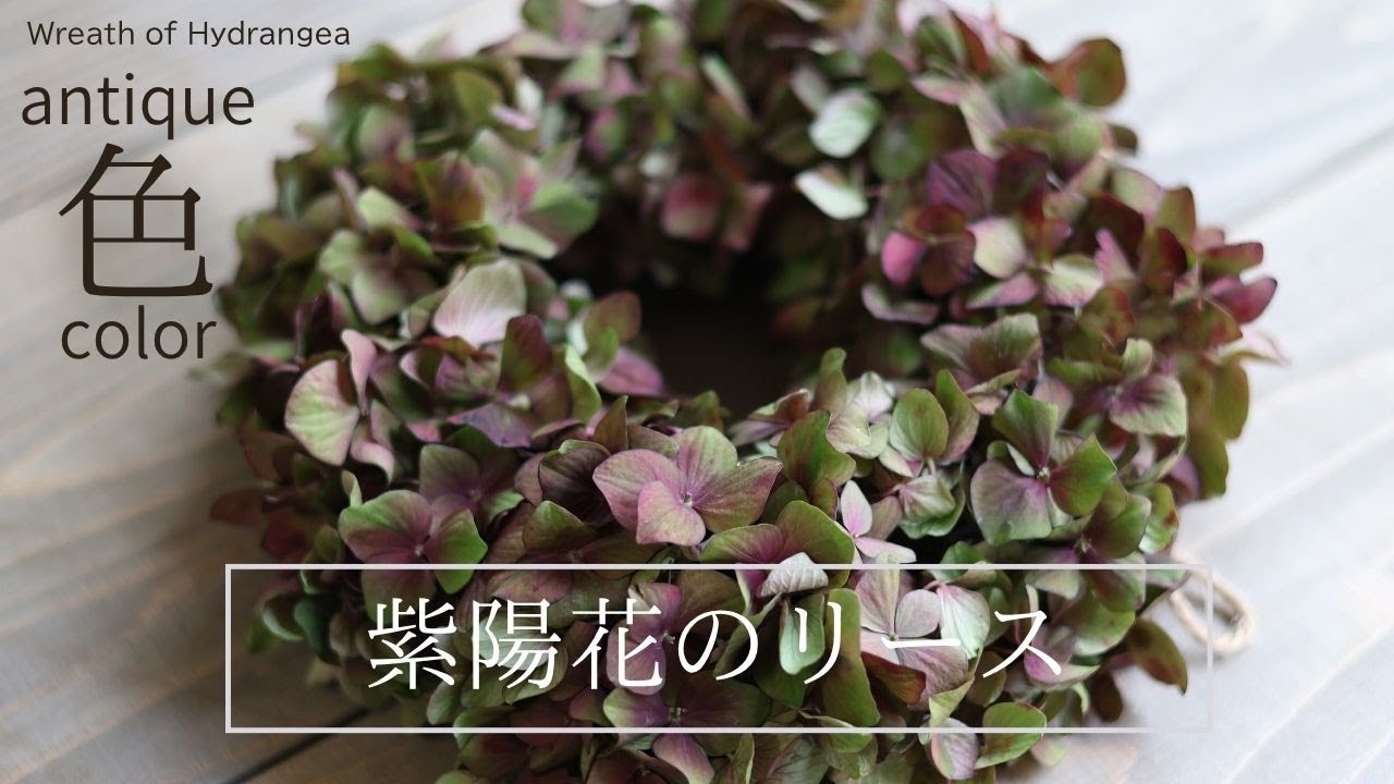 【紫陽花リース 作り方】きれいに仕上げる3つのポイント