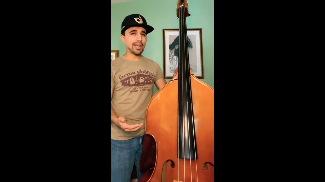Carlos Holguin - Tololoche Tutorial #1