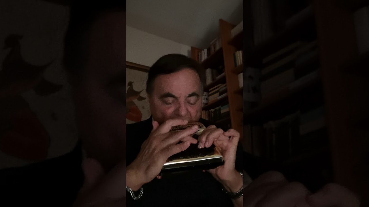 All of me with Harmonetta Hohner