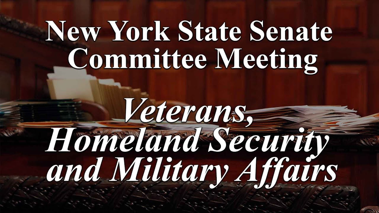 Senate Standing Committee on Veterans, Homeland Security and Military Affairs - 02/03/2026