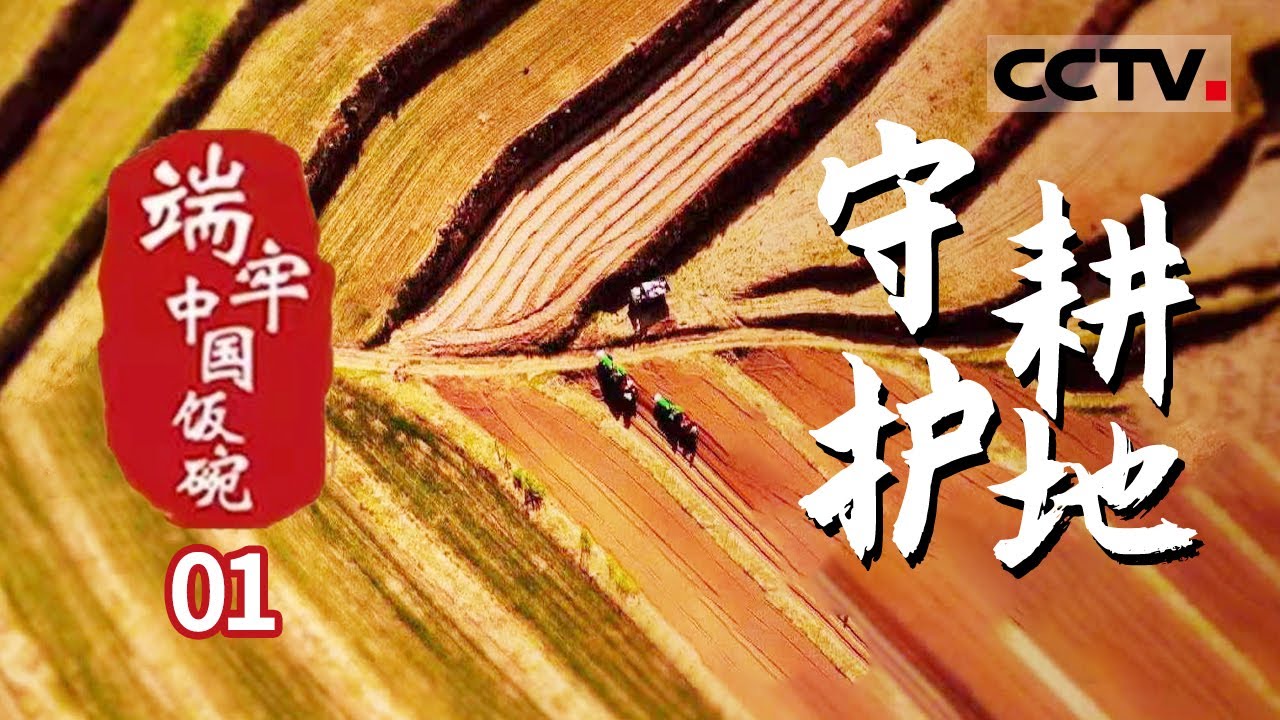《端牢中国饭碗》第1集 当有些人还在担忧“谁来养活中国”时 中国用事实来回答了这个世纪之问 中国人自己端牢自己的饭碗——守护耕地【CCTV纪录】