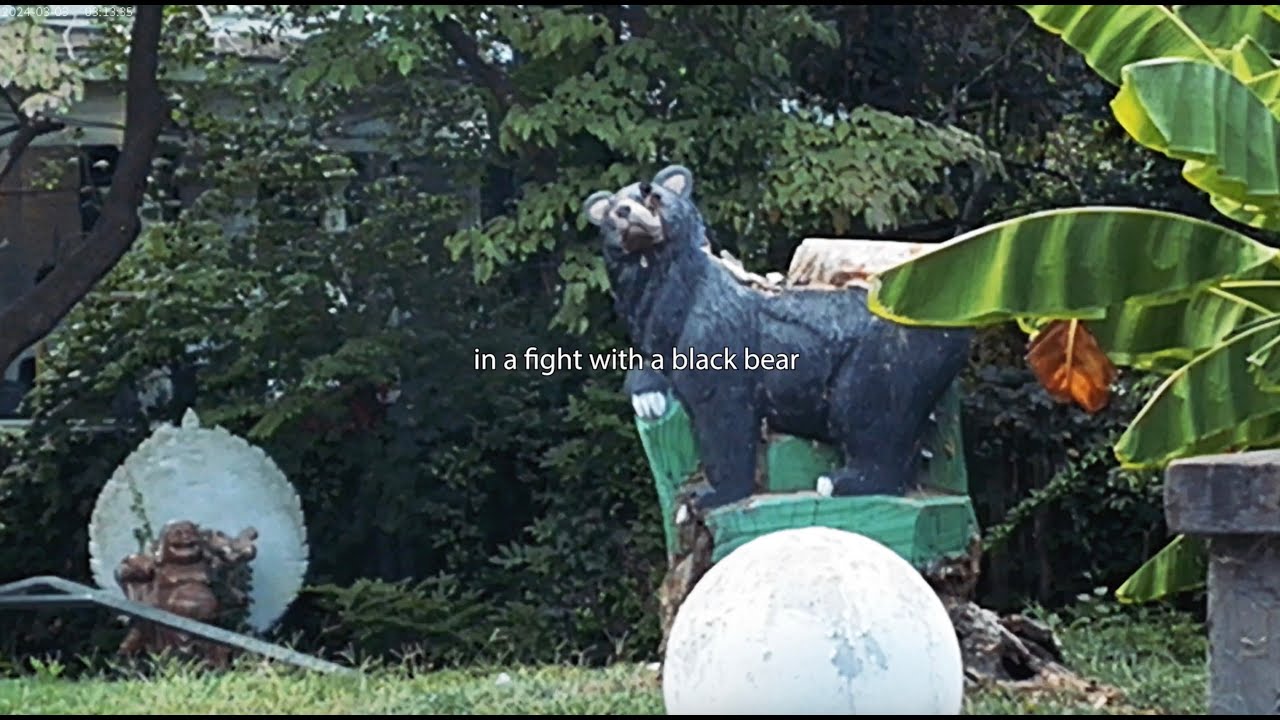 hey, nothing - Black Bear (Official Lyric Video)