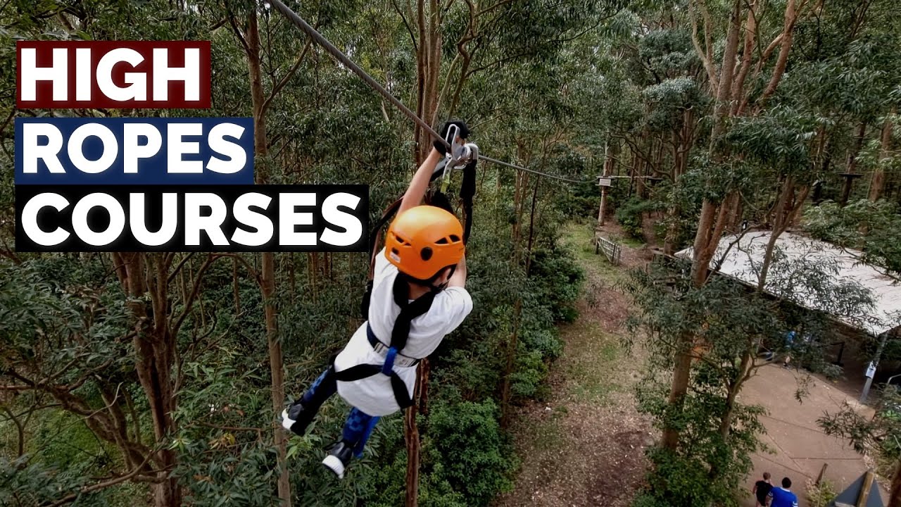 Tree Top Adventure Park Newcastle | Sun 7-11-21
