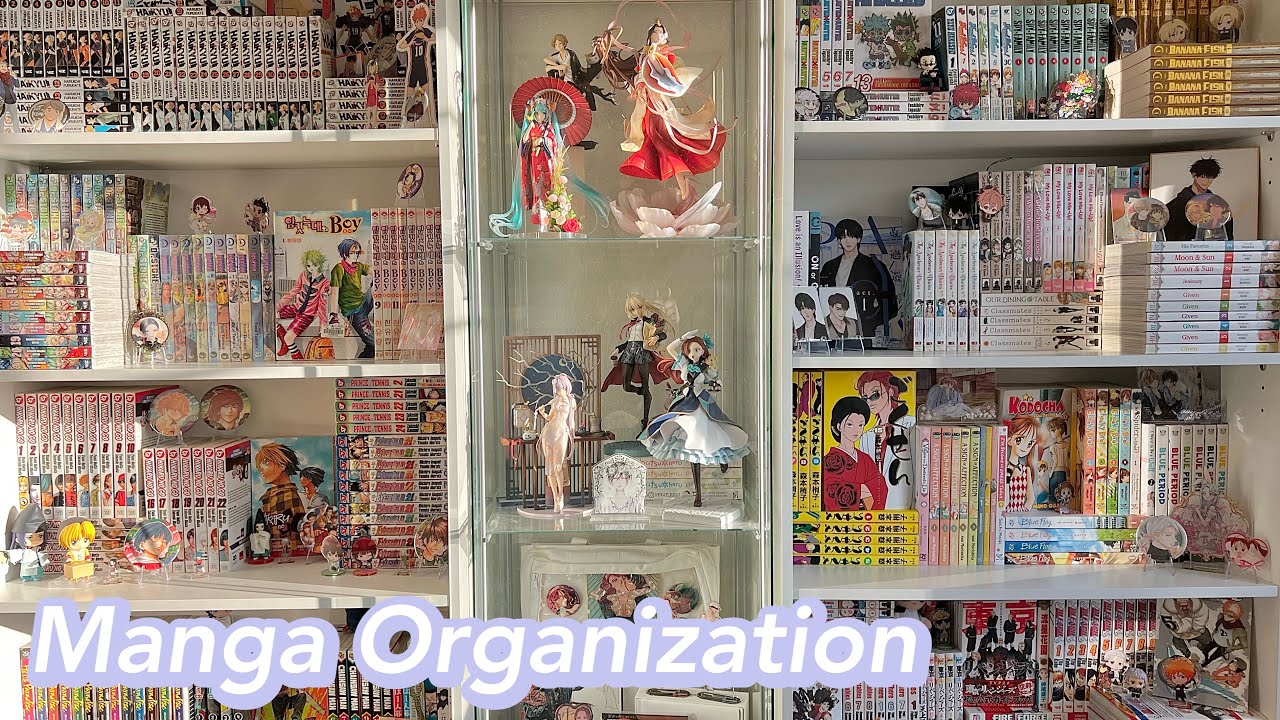 Organizing My Manga Collection 🎏