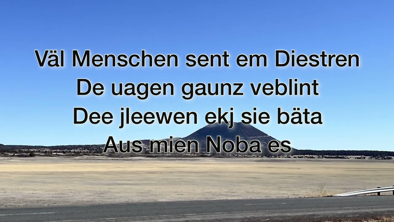 Lot mie nich enn sinden stoawen George Schmidt